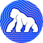 APE