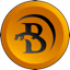coin icon