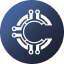 CP
