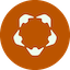 coin icon