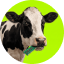 MOO