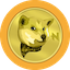 coin icon