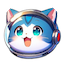WENSOL